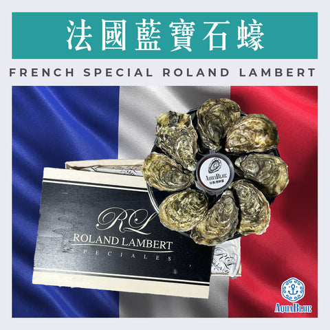 法國藍寶石蠔(No.2) FRENCH SPECIAL Roland LAMBERT (24隻裝) (需預早一星期前預訂) | FRENCH SPECIAL Roland LAMBERT Oyster (NO.2) (24PC SET) (Need Pre-order: 1week)