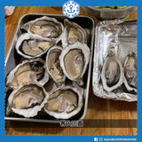 法國特級紛迪加蠔 (No.2) French Speciales De Claire | French Speciales De Claire (No.2)