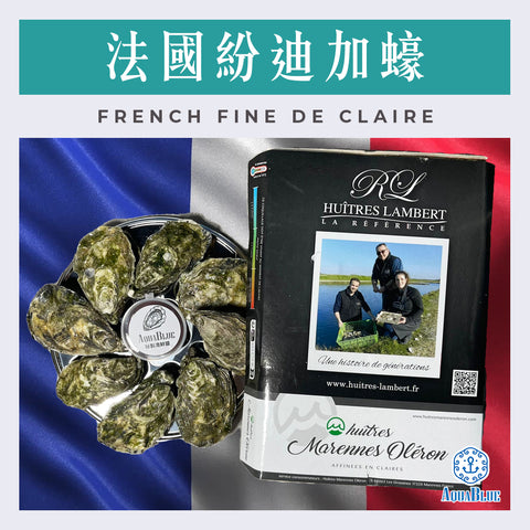法國特級紛迪加蠔 (No.2) FRENCH Speciales DE CLAIRE (24隻裝) (需預早一星期前預訂) | FRENCH SPECIALES DE CLAIRE (No.2) (24PC SET) (Need Pre-order: 1week)