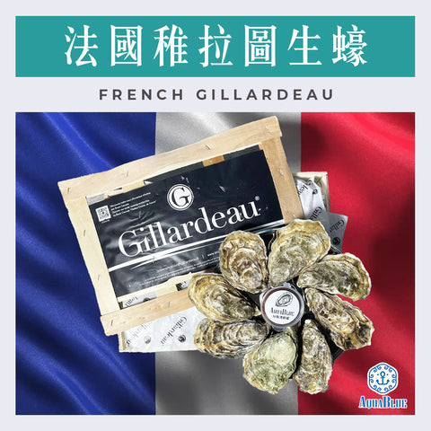 法國稚拉圖生蠔(No.1) French Gillardeau (48隻裝) (需預早一星期前預訂) | French Gillardeau (No.1) (48PC Set) (Need Pre-order: 1week)