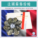 法國蘇飾紛蠔 (No.2) French Joséphine Oyster (48隻裝) (需預早一星期前預訂) | French Joséphine Oyster (No.2) (48pc Set) (Need Pre-order: 1week)