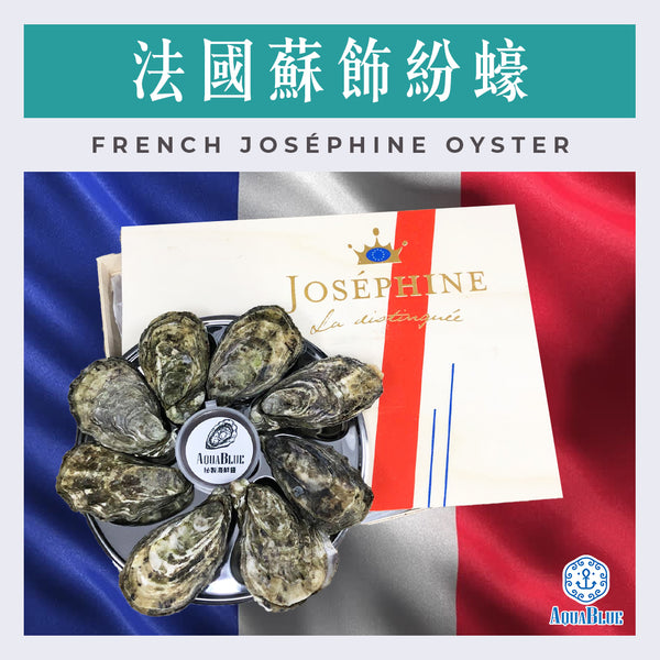 法國蘇飾紛蠔 (No.2) French Joséphine Oyster (48隻裝) (需預早一星期前預訂) | French Joséphine Oyster (No.2) (48pc Set) (Need Pre-order: 1week)