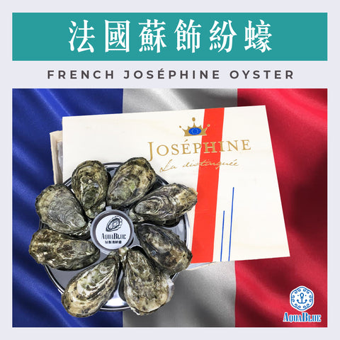 法國蘇飾紛蠔 (No.2) French Joséphine Oyster (48隻裝) (需預早一星期前預訂) | French Joséphine Oyster (No.2) (48pc Set) (Need Pre-order: 1week)
