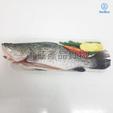 新鮮盲鰽 (已劏) 約400g | Fresh Barramundi (FISH) ~400g