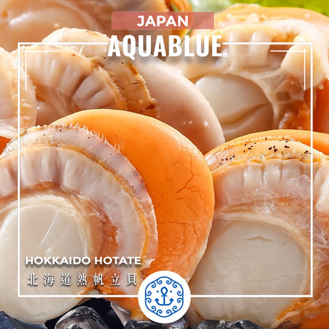 日本北海道熟帆立貝 Japan Hokkaido Hotate 