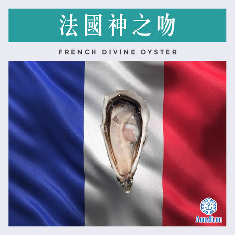 法國神之吻 (No.2) French Divine (24隻裝) (需預早一星期前預訂)| French Divine Oyster (No.2) (24Pc Set) (Need Pre-order: 1week)