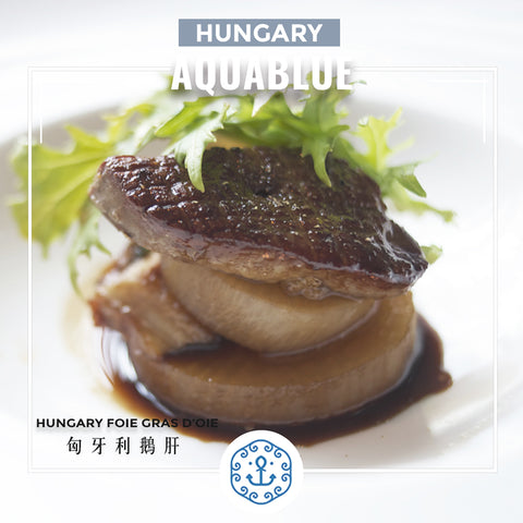 匈牙利鵝肝  Hungary Foie gras