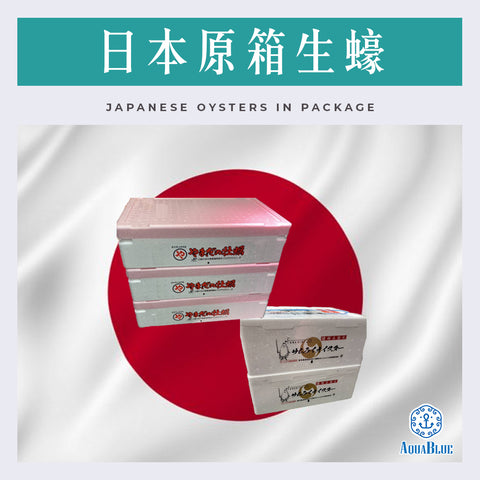 日本原箱生蠔(逢星期二中午截單,逢星期六下午到舖) | Japanese Oysters in package (Arriving HK on saturday, need to pre-order before Tuesday)