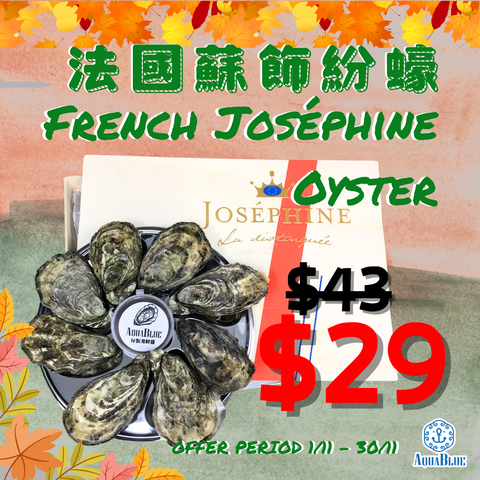 法國蘇飾紛蠔 (No.2) French Joséphine Oyster | French Joséphine Oyster (No.2)