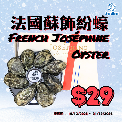 【快閃優惠】法國蘇飾紛蠔 (No.2) French Joséphine Oyster | French Joséphine Oyster (No.2)
