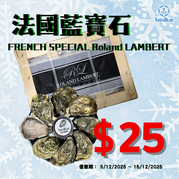 【快閃特價】法國藍寶石蠔 (No.2) French Special Roland Lambert Oyster | [Special Price] French Special Roland Lambert  Oyster (No.2)