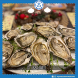 法國特級紛迪加蠔 (No.2) French Speciales De Claire | French Speciales De Claire (No.2)