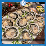 法國藍寶石蠔(No.2) French Special Roland Lambert Oyster (No.2) | French Special Roland Lambert Oyster (No.2)