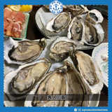 法國神之吻生蠔 (No.2) French Divine Oyster | French Divine Oyster (No.2)