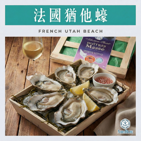 法國猶他蠔 (No.2) French Utah Beach (48隻裝) (需預早一星期前預訂) | French Utah Beach (No.2) (48PC Set) (Need Pre-order: 1week)