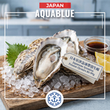 日本室津急凍帶殼生蠔 80-99g [解凍開殼即食] | Japanese Iyomizu Frozen Oysters 80-99g