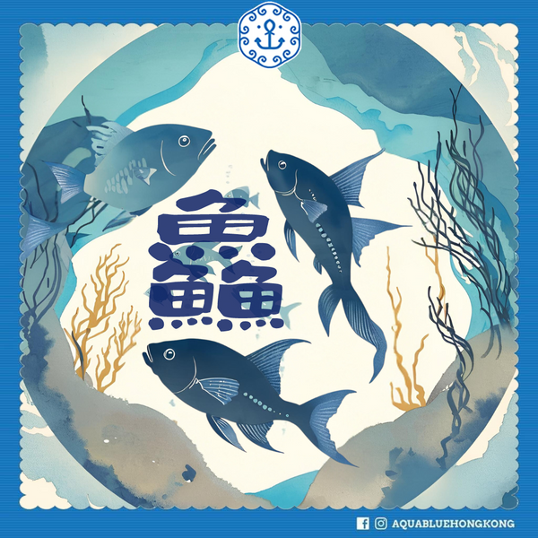 鱻 | Fresh Sashimi Trio Set