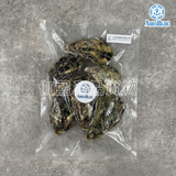 日本室津急凍帶殼生蠔 80-99g [解凍開殼即食] | Japanese Iyomizu Frozen Oysters 80-99g