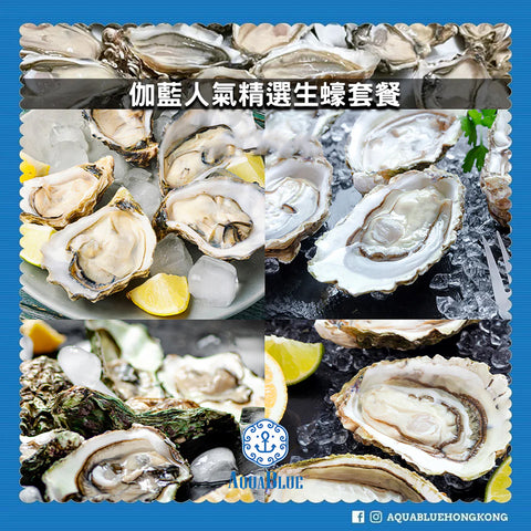 伽藍人氣精選生蠔套餐 (4-6人) | AquaBlue Oysters Best Picks Set (4-6 persons)