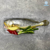 新鮮黃花魚 (已劏) 約200g | Fresh Yellow Croaker (Pre-cleaned) ~200g