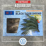 越南黑虎蝦 (4頭)  1kg [需烹調] | Vietnamese Black Tiger Prawn (Four-head) 1kg [Need to be cooked]