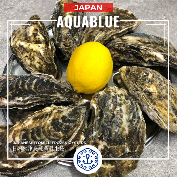 日本室津急凍帶殼生蠔 80-99g [解凍開殼即食] | Japanese Iyomizu Frozen Oysters 80-99g