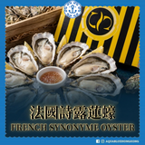 法國詩露蓮蠔 (No.2) French Synonyme Oyster | French Synonyme Oyster (No.2)