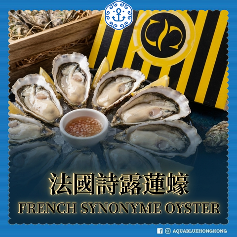法國詩露蓮蠔 (No.2) French Synonyme Oyster | French Synonyme Oyster (No.2)