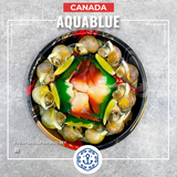 賏 | Fresh Shellfish Duo Set