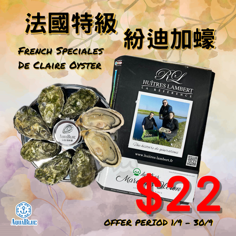 【本月特價】法國特級紛迪加蠔 (No.2) French Speciales De Claire | (Special Price) French Speciales De Claire (No.2)
