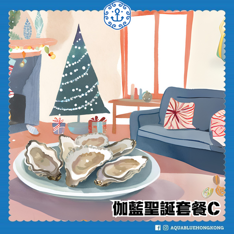 2024 伽藍聖誕節套餐C |2024 AquaBlue Christmas Set C