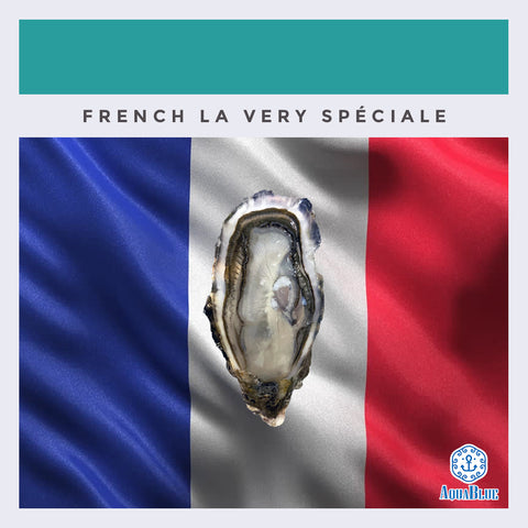 法國La Very Spéciale蠔 (No.2) | French La Very Spéciale Oyster (No.2)