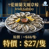 【本月特價】愛爾蘭戈爾韋蠔 No.2 Irish Galway | (Special Price) Irish Galway no.2