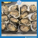 法國蘇飾紛蠔 (No.2) French Joséphine Oyster | French Joséphine Oyster (No.2)