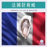 【本月特價】法國舒莉蠔 (No.1) La Jolie Mauger Oyster | 【This Month's Special Price】French La Jolie Mauger Oyster (No.1)