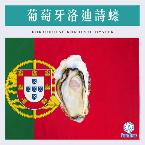 葡萄牙洛迪詩蠔 No.1 Portuguese Nordeste Oyster (110-150g) [新鮮即食] | Portuguese Nordeste Oyster No.1 (110-150g)