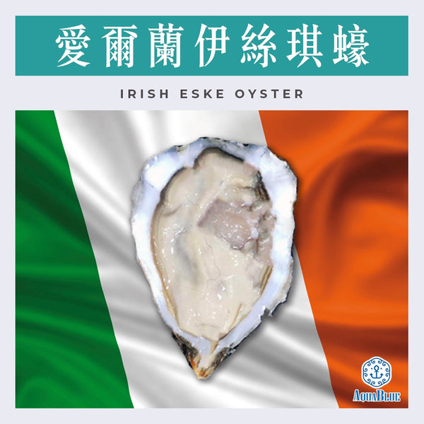 愛爾蘭伊絲琪蠔 No.0 Irish Eske Donegal Bay No.0 [新鮮即食] | Irish Eske Donegal Bay Oyster No.0
