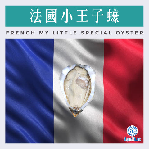 法國小王子(No.2) French My Little Special Oyster (No.2) | French My Little Special Oyster (No.2)