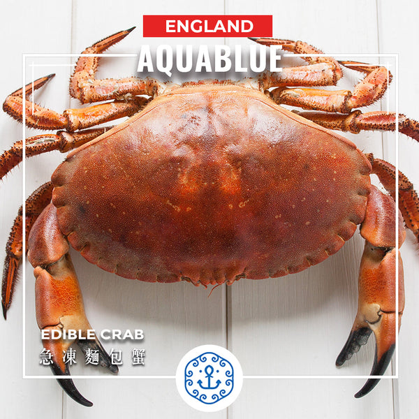 英國急凍麵包蟹 (熟) 約600-800g [解凍即食] | U.K. Frozen Edible Crab (Cooked) 600-800g [Edible after thawing]