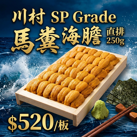 [限定數量] 【SP】川村 SP Grade 馬糞海膽 250g  | Japanese Sea Urchin AB Grade