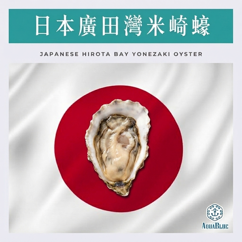 【期間限定，數量有限，售完即止】日本廣田灣米崎蠔 120-150g [新鮮即食] | Japanese Hirota Bay Yonezaki Oyster 120-150g [Ready to serve]