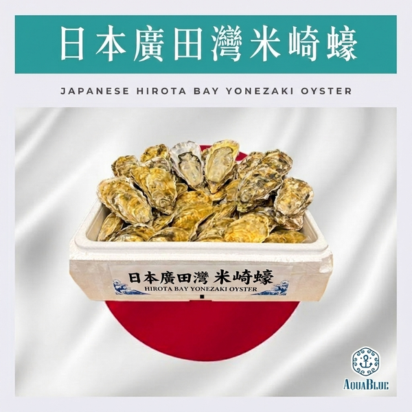 日本廣田灣米崎蠔 120-150g (原箱40隻) [新鮮即食] | Japanese Hirota Bay Yonezaki Oyster 120-150g (40pcs Set)  [Ready to serve]