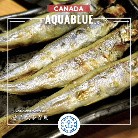 加拿大多春魚 約200g [需烹調] | Canadian Capelin ~200g [Need to be cooked]