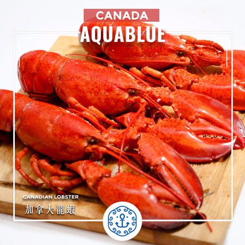 加拿大龍蝦(熟) 400g-450g [解凍即食] | Canadian Lobster 400g-450g [Edible after thawing]