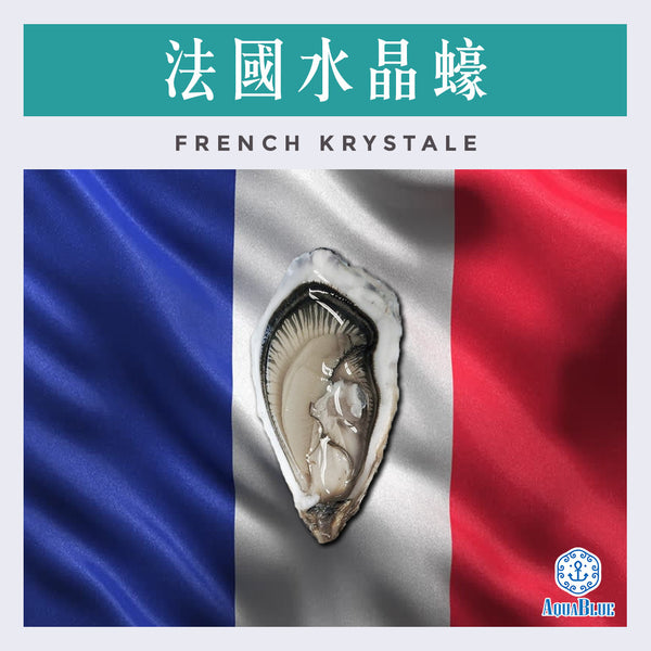 法國水晶蠔 (No.2) FRENCH KRYSTALE