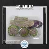 鯪魚肉釀三寶 約180g | Mud Carp Meat (FISH) with Mixed Vegetables & Melon ~180g
