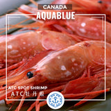 加拿大ATC牡丹蝦(XJ) [解凍即食] | Canadian ATC Spot Shrimp(XJ) [Edible after thawing]