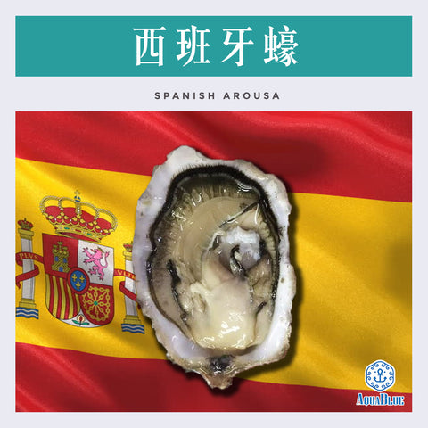 西班牙蠔 No.1 Spanish Arousa (120-150gm) [新鮮即食] | Spanish Arousa no.1 (120-150gm)