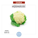 西蘭花 / 椰菜花 1斤 (需預早一天訂購)| Broccoli / Coliflor ~600g (Pre-order:1 day)
